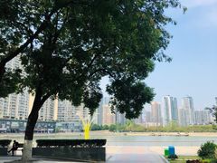 -西北湖绿化广场