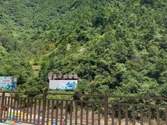 -龙井峡漂流