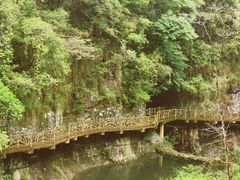 -永泰中国云顶