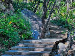 -大岭沟猕猴桃谷风景区