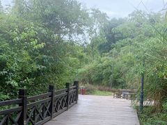 -仙海旅游度假区