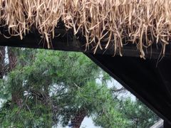 -杭州千岛湖开元度假村