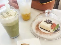 -飞行喵MR PILOT|猫舍·猫咖(静安大融城店)
