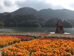 -广州市石门国家森林公园
