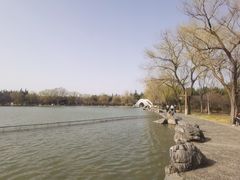 -洛阳市隋唐城遗址植物园