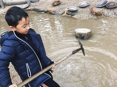 -疏芬山金矿