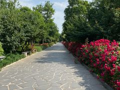 -蓬莱阁景区