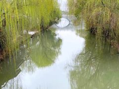 -同里国家湿地公园