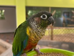 -北京野生动物园