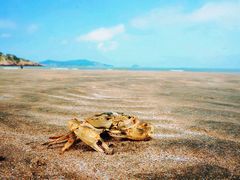 -嵊泗基湖沙滩