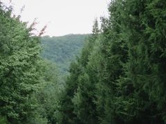 -北京西山国家森林公园