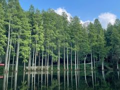 -波尔登森林公园