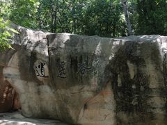 -石老人观光园