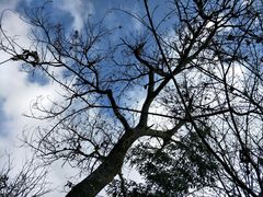 -武隆天坑寨子景区