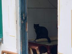 -安仁古镇