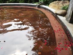 -融汇温泉