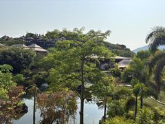 -广州从化都喜泰丽度假酒店温泉