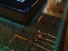 -浅深Cheersum(曹杨店)