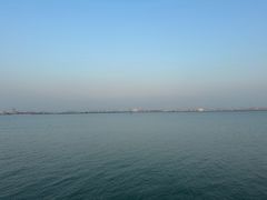 -大湾区中央湿地公园