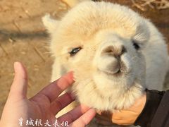-静之湖度假区