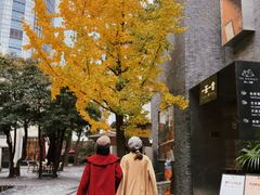 -徐家汇源景区-衡山坊