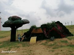 -大连铭湖国际观光牧场