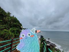 -广东惠东海龟国家级自然保护区