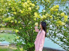 -漕湖湿地公园