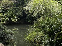 -中国茶叶博物馆(双峰馆区)