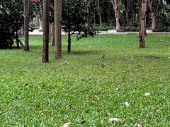 -深圳国际园林花卉博览园