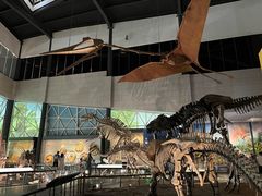 -湖南省地质博物馆