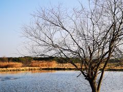 -良渚古城遗址公园