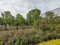 -上海山野camping·户外天幕烧烤·团建拓展营地