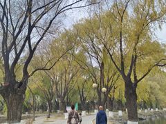 -二一九公园