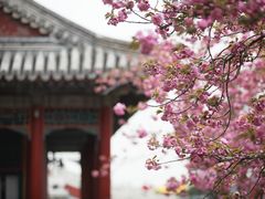 -颐和园