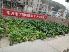-湘力力小院·鱼汤泡饭(枫林路店)