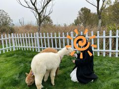 -杭州桐庐康莱德酒店西餐厅-舍