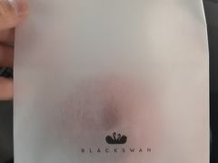 -BLACKSWAN黑天鹅(环球店)