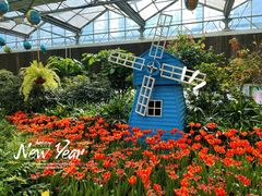 -南宫五洲植物乐园