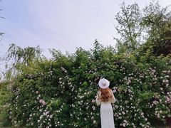 -白鹭湾湿地公园