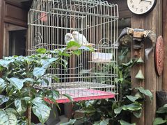 -束河人家(南锣鼓巷店)