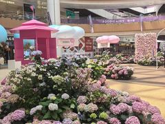 -上海长风大悦城