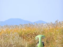 -良渚古城遗址公园