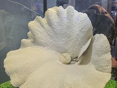 -游龙石文化科普馆