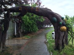 iphone_upload_pic-上海都市菜园