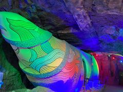 -贝壳梦幻世界