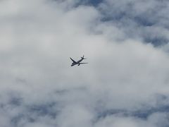 -吉祥馄饨(上海南方店)