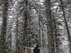 -硗碛藏寨·神木垒景区