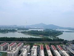 -湖景知味西餐厅•自助餐• 轻食(南京金茂威斯汀大酒店)
