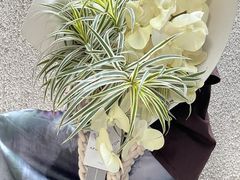 -L.C FLORA花予你(城西银泰城店)